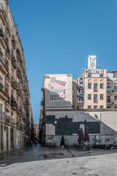 L1001453.jpg