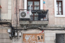 L1001531.jpg