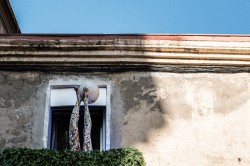 L1000767.jpg