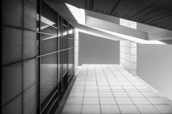 L1001451-copie.jpg
