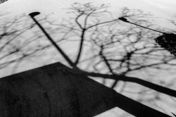 L1001541-copie.jpg